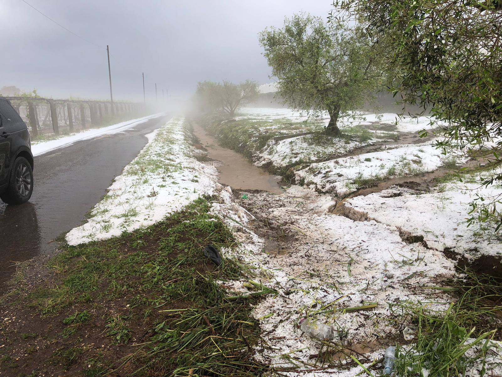 Grandinata del 14 febbraio, il sindaco chiede lo stato di calamità per le imprese agricole.