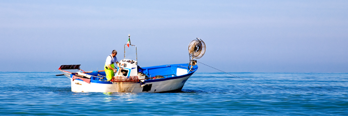 Copagri Lazio, un marchio DOP per la Tellina