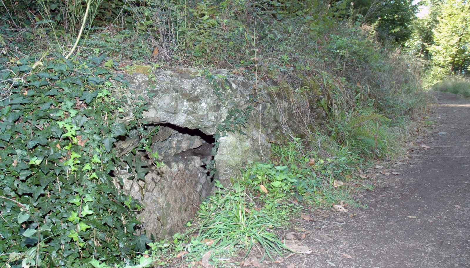 Sulle tracce del tempo. La via Francigena del Sud